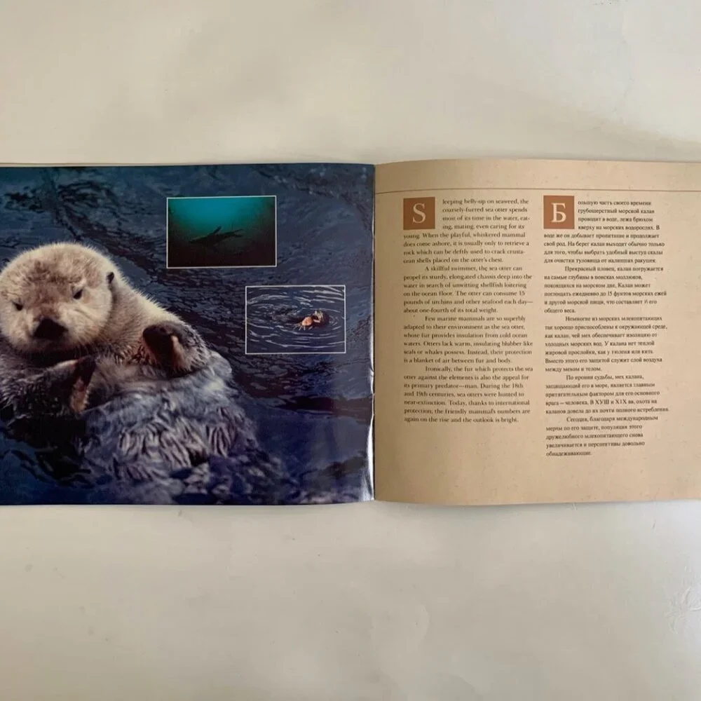 Unique Vintage creatures sea